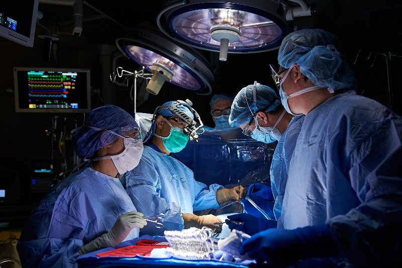 Fellowship in Cardiothoracic Surgery
