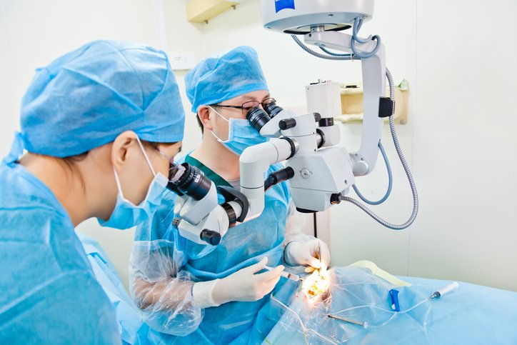 Fellowship in Microsurgery Program